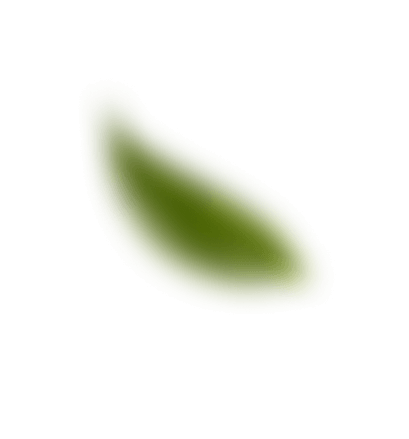 folha desfocada green domus